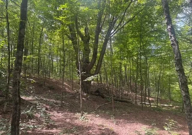 Photo 3 of Land for sale at 000 Banister Rd, West Windsor, VT 05089 | MLS# 5109217 | Listing updated on 2026-09-10