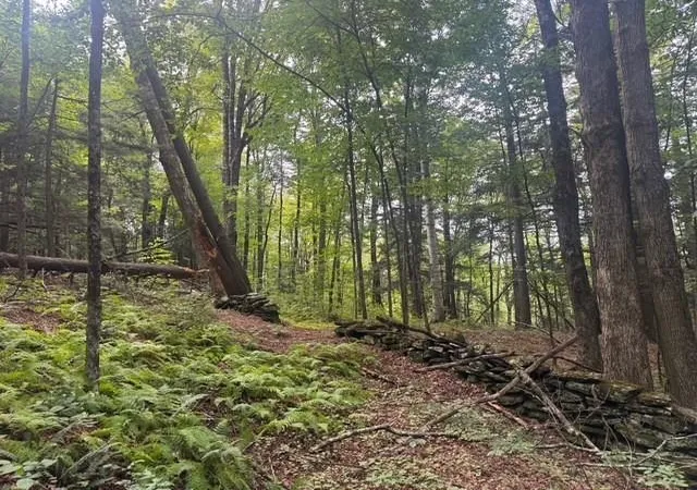 Photo 4 of Land for sale at 000 Banister Rd, West Windsor, VT 05089 | MLS# 5109217 | Listing updated on 2026-09-10