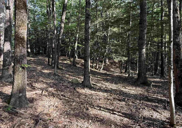 Photo 1 of Land for sale at 0 Meetinghouse Ln, Brattleboro, VT 05301 | MLS# 5109235 | Listing updated on 2026-09-10