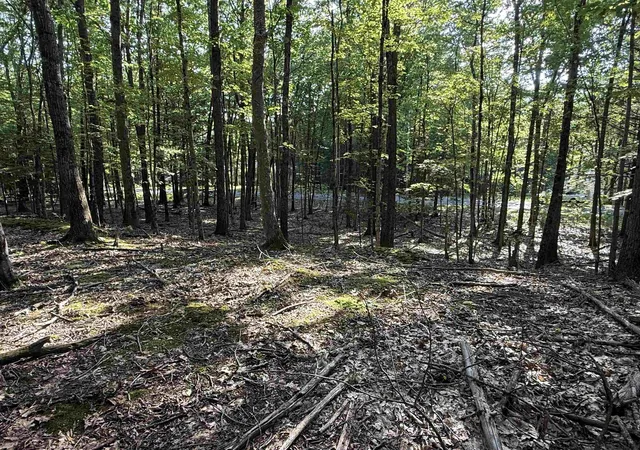 Photo 3 of Land for sale at 0 Meetinghouse Ln, Brattleboro, VT 05301 | MLS# 5109235 | Listing updated on 2026-09-10