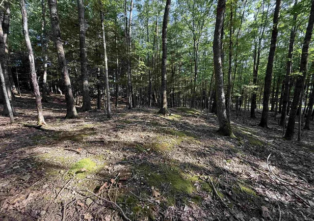 Photo 3 of Land for sale at 0 Meetinghouse Ln, Brattleboro, VT 05301 | MLS# 5109235 | Listing updated on 2026-09-10