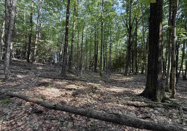Photo 4 of Land for sale at 0 Meetinghouse Ln, Brattleboro, VT 05301 | MLS# 5109235 | Listing updated on 2026-09-10