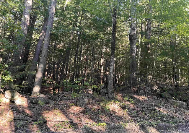 Photo 1 of Land for sale at 000 Bog Rd, Hillsborough, NH 03244 | MLS# 5109268 | Listing updated on 2026-09-12
