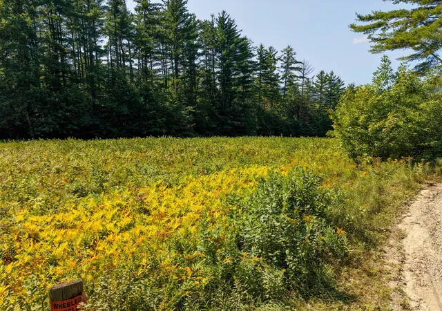 Photo 3 of Sale Pending at Mill Brk Rd, Thornton, NH 03285 | MLS# 5109323 | Listing updated on 2026-09-15