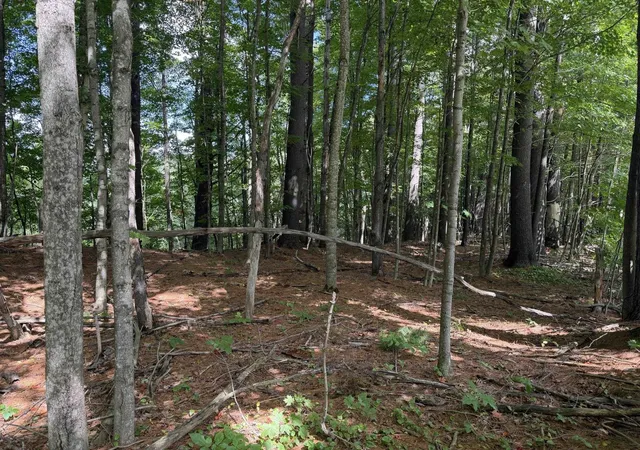Photo 2 of Land for sale at 0 Route 242 Rd, North Troy, VT 05859 | MLS# 5109326 | Listing updated on 2026-09-11