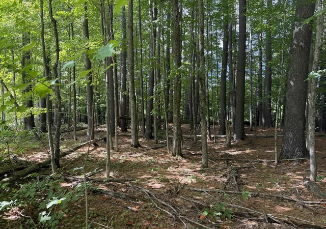 Photo 3 of Land for sale at 0 Route 242 Rd, North Troy, VT 05859 | MLS# 5109326 | Listing updated on 2026-09-11