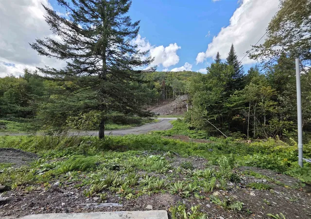 Photo 2 of Land for sale at 164 Hollow Rd, Stewartstown, NH 03576 | MLS# 5109346 | Listing updated on 2026-09-11