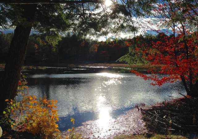 Photo 58 of Multi family home for sale at 115 French E Rd, Wilmot, NH 03287 | MLS# 5109377 | Listing updated on 2026-09-13