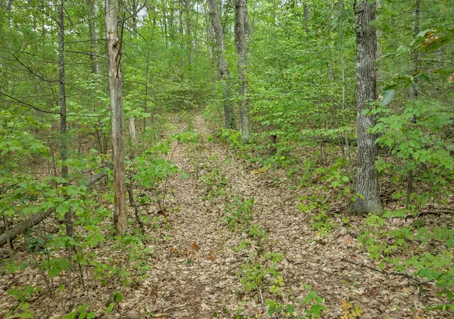 Photo 2 of Land for sale at 0 Kings Hwy, New Durham, NH 03855 | MLS# 5109395 | Listing updated on 2026-09-11