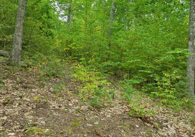 Photo 4 of Land for sale at 0 Kings Hwy, New Durham, NH 03855 | MLS# 5109395 | Listing updated on 2026-09-11