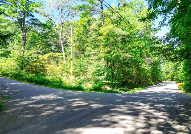 Photo 2 of Land for sale at Map 117 Lot 25 Danforth Ln, Madison, NH 03849 | MLS# 5109461 | Listing updated on 2026-09-17