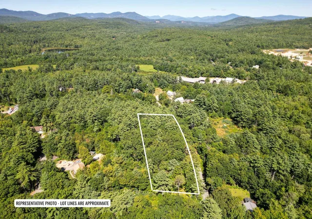 Photo 4 of Land for sale at Map 117 Lot 25 Danforth Ln, Madison, NH 03849 | MLS# 5109461 | Listing updated on 2026-09-17