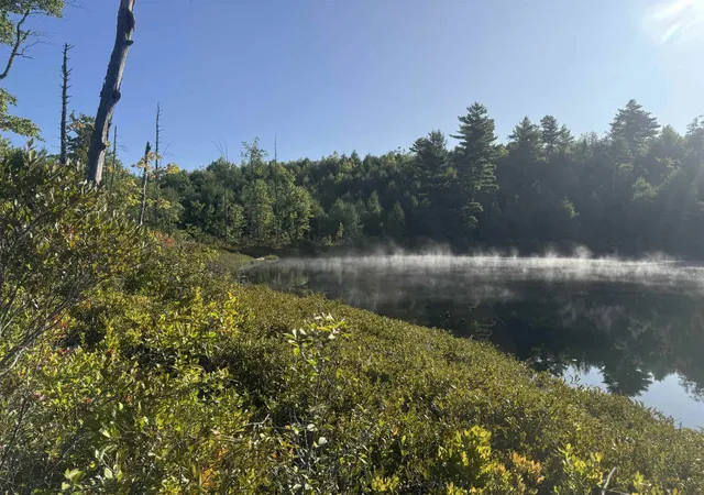 Photo 1 of Land for sale at 40 Granite Rd, Ossipee, NH 03864 | MLS# 5109543 | Listing updated on 2026-10-06