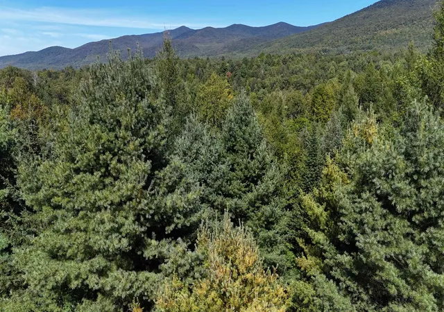 Photo 1 of Land for sale at Lot 1 Bone Brk Ln, Lancaster, NH 03584 | MLS# 5109637 | Listing updated on 2026-09-14