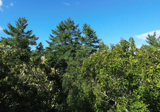 Land for sale at 65 Case Rd, Nottingham, NH 03290 | MLS# 5110265