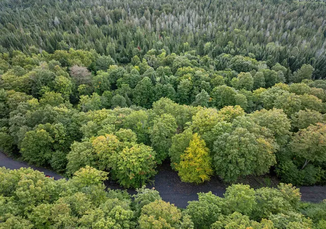 Photo 2 of Land for sale at Lot 8 Wood Yard Xing, Pittsburg, NH 03592 | MLS# 5110332 | Listing updated on 2026-10-09