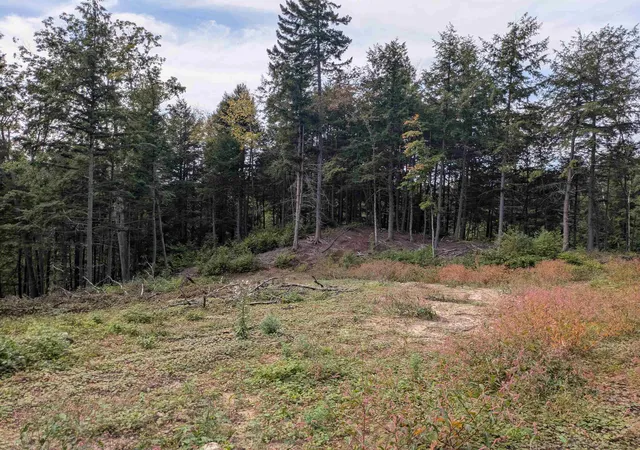 Photo 1 of Land for sale at Gilsum Rd, Sullivan, NH 03445 | MLS# 5110503 | Listing updated on 2026-10-08