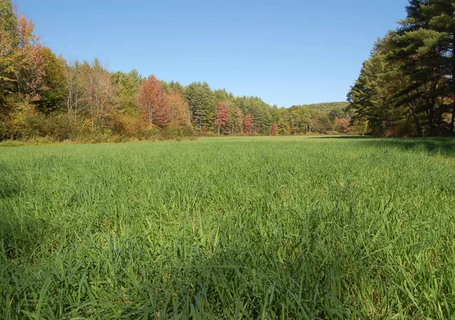Photo 2 of Land for sale at 111 Browns Way, Henniker, NH 03242 | MLS# 5110605 | Listing updated on 2026-09-27