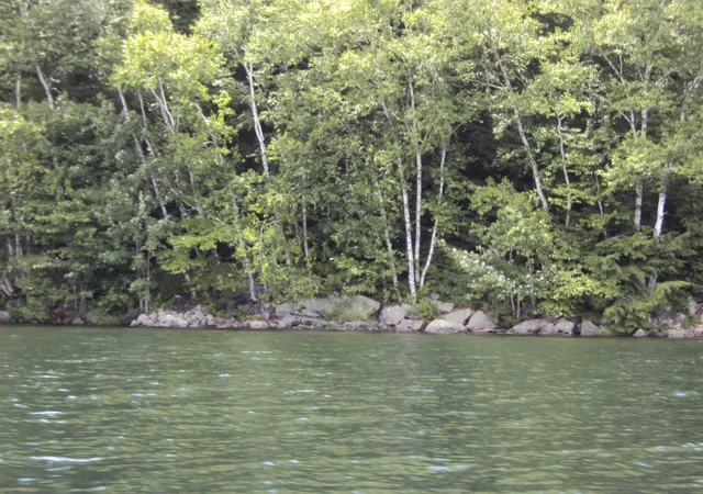 Photo 3 of Land for sale at Lot #20a 333 70 103 Route, Newbury, NH 03255 | MLS# 5110672 | Listing updated on 2026-09-23