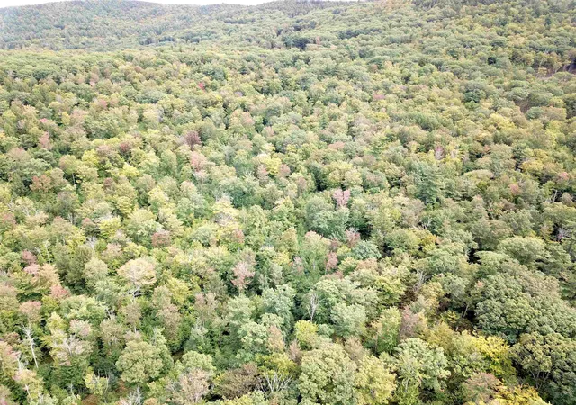 Photo 3 of Sale Pending at 217 Horne, Warner, NH 03278 | MLS# 5110793 | Listing updated on 2026-09-27