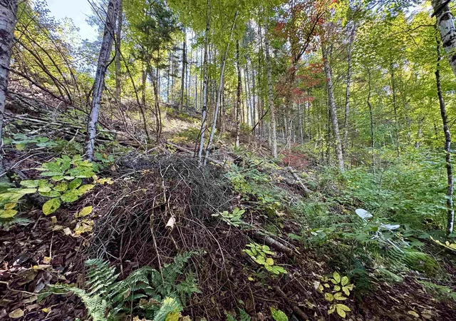 Land for sale at 24 Marsh Rd, North Stratford, NH 03590 | MLS# 5111222