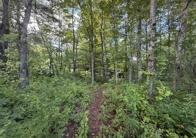 Photo 3 of Land for sale at 0 Route 120, Cornish, NH 03745 | MLS# 5111338 | Listing updated on 2026-10-16