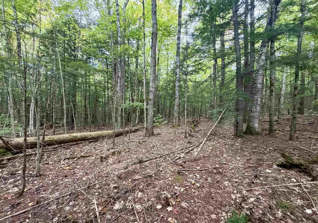 Land for sale at Windmill Rd, Campton, NH 03223 | MLS# 5111709