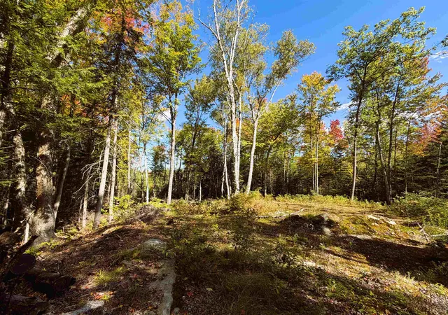 Photo 1 of Land for sale at 0 Cyr Rd, Littleton, NH 03561 | MLS# 5112127 | Listing updated on 2026-10-12