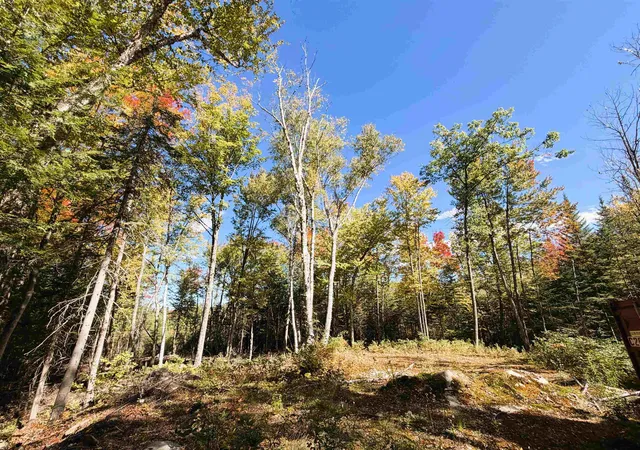 Photo 2 of Land for sale at 0 Cyr Rd, Littleton, NH 03561 | MLS# 5112127 | Listing updated on 2026-10-12