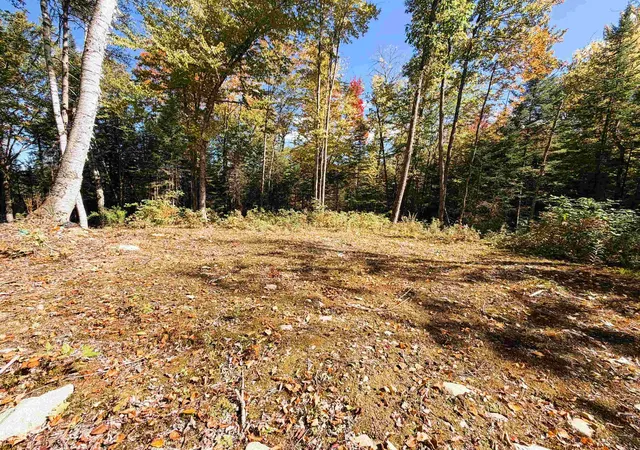 Photo 3 of Land for sale at 0 Cyr Rd, Littleton, NH 03561 | MLS# 5112127 | Listing updated on 2026-10-12