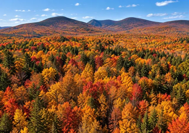 Photo 1 of Land for sale at 25 Sullivan Rd, Stark, NH 03582 | MLS# 5112654 | Listing updated on 2026-10-27