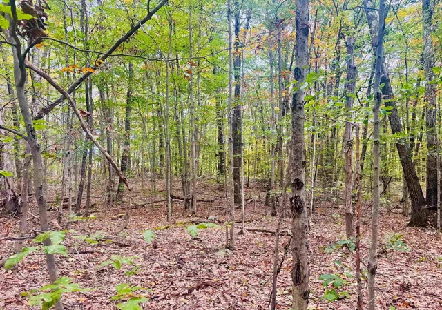 Photo 4 of Land for sale at 0 Old Walpole/valley View Rd, Keene, NH 03431 | MLS# 5112937 | Listing updated on 2026-10-22