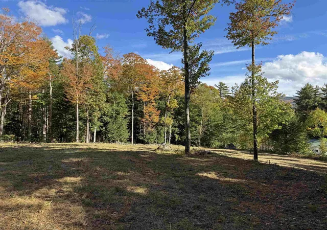 Photo 1 of Land for sale at 0 Tamarack Rd, Thornton, NH 03285 | MLS# 5113365 | Listing updated on 2026-10-13