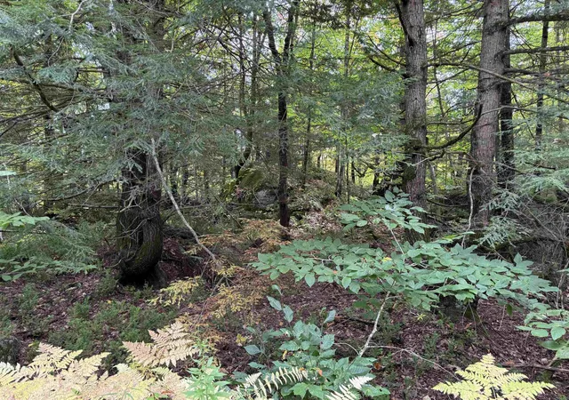 Photo 1 of Land for sale at 16 75 Ravenhead Ln, Hillsborough, NH 03244 | MLS# 5113593 | Listing updated on 2026-10-29
