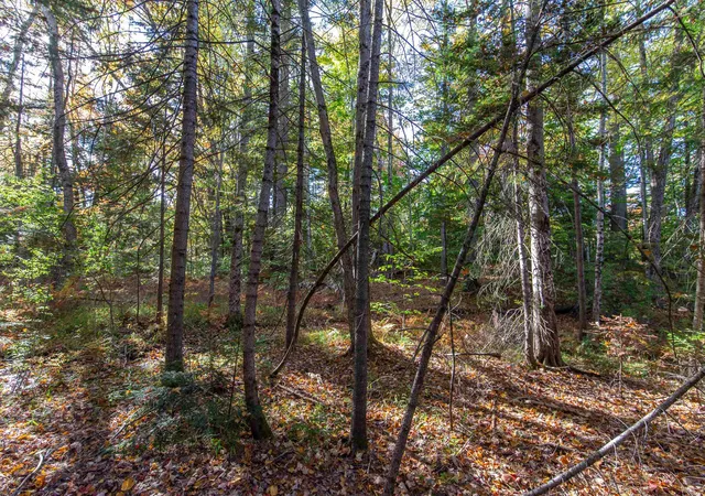 Photo 1 of Land for sale at Map 401 Lot 3 Chocorua Mountain Hwy, Tamworth, NH 03875 | MLS# 5113728 | Listing updated on 2026-10-09