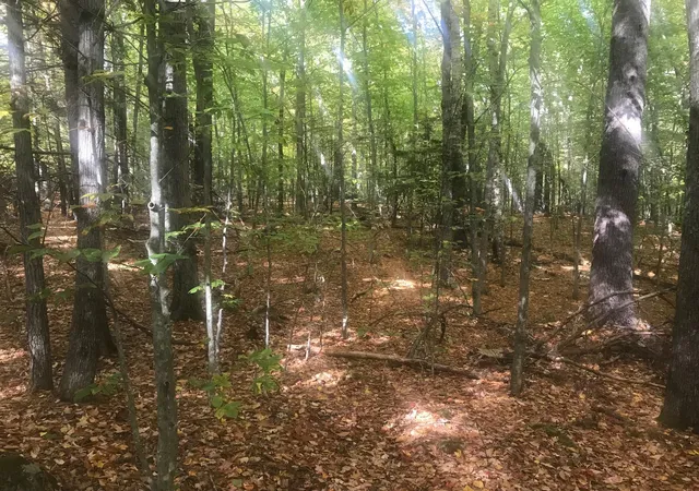 Photo 1 of Sale Pending at 216-12 Upper Rd, Sandwich, NH 03227 | MLS# 5113839 | Listing updated on 2026-10-12