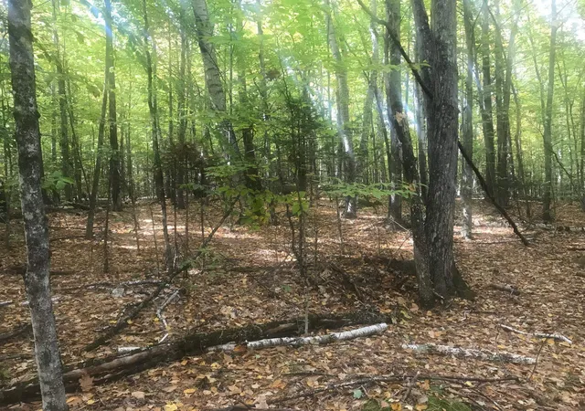 Photo 2 of Sale Pending at 216-12 Upper Rd, Sandwich, NH 03227 | MLS# 5113839 | Listing updated on 2026-10-12