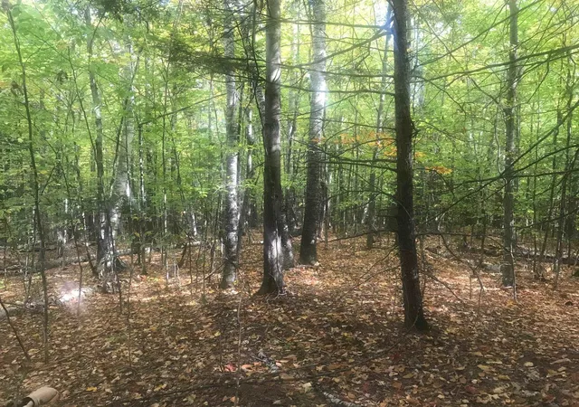 Photo 4 of Sale Pending at 216-12 Upper Rd, Sandwich, NH 03227 | MLS# 5113839 | Listing updated on 2026-10-12