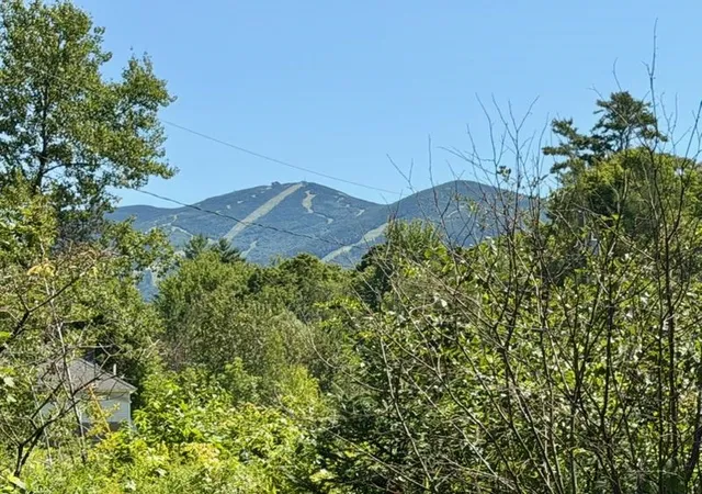 Single family home for sale at 43 Sawmill Ln, Franconia, NH 03580 | MLS# 5113847