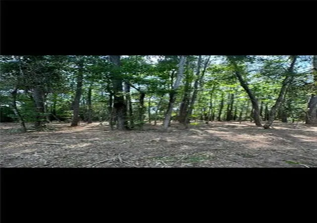 Photo 3 of Land for sale at 10 Acres Chess Gerald Rd, Franklinton, LA 70438 | MLS# 2508926 | Listing updated on 2026-09-18