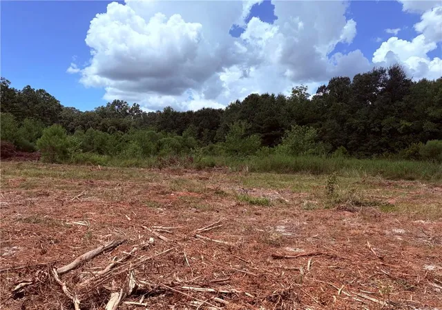 Photo 3 of Sale Pending at Parcel C Peters Rd, Madisonville, LA 70447 | MLS# 2525107 | Listing updated on 2026-09-11