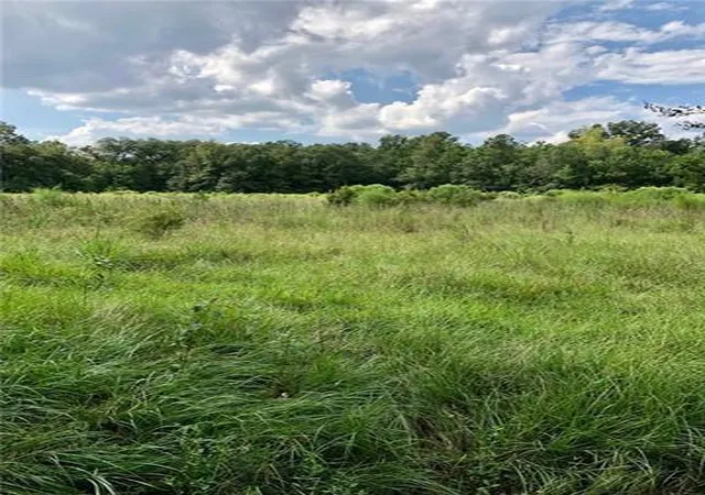Photo 3 of Sale Pending at Parcel C Peters Rd, Madisonville, LA 70447 | MLS# 2525107 | Listing updated on 2026-09-11