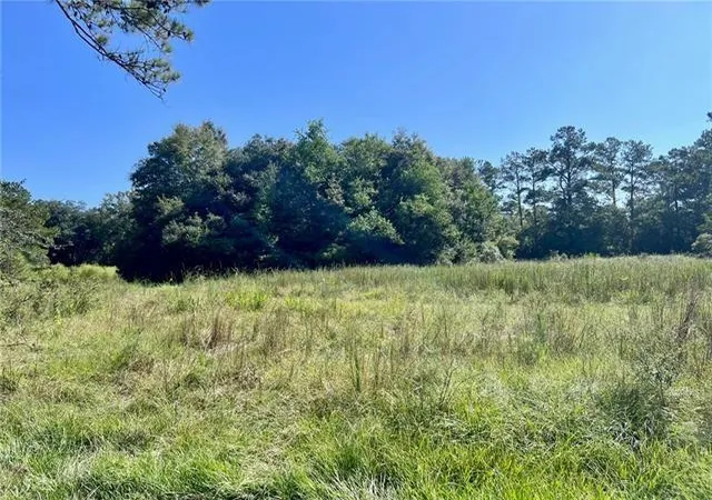 Photo 4 of Sale Pending at Parcel C Peters Rd, Madisonville, LA 70447 | MLS# 2525107 | Listing updated on 2026-09-11