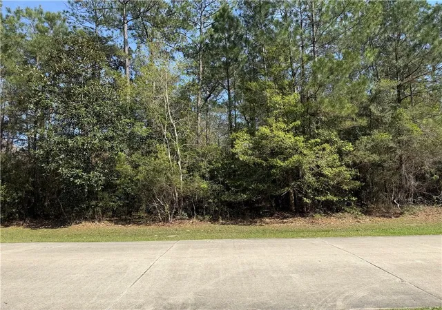 Photo 3 of Land for sale at 211 S Tallowwood Dr, Covington, LA 70433 | MLS# 2547721 | Listing updated on 2026-09-14
