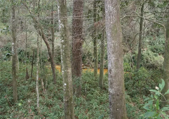 Photo 3 of Land for sale at 21157 Little River Ct, Covington, LA 70435 | MLS# 2549129 | Listing updated on 2026-09-16