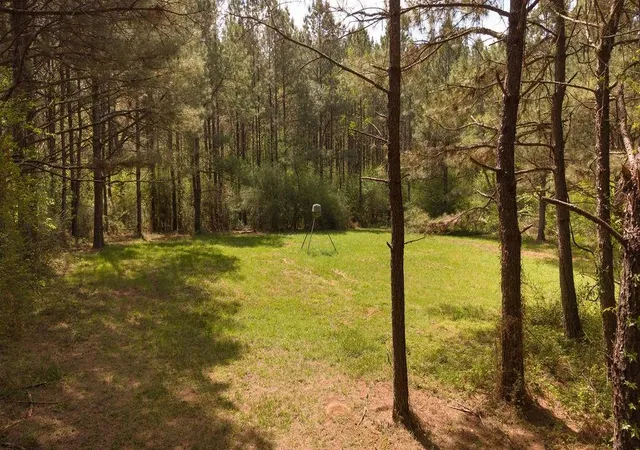 Photo 3 of Single family home for sale at 43162 La 38 Hwy, Franklinton, LA 70438 | MLS# 2549281 | Listing updated on 2026-09-22