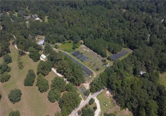Photo 1 of Land for sale at 88 Acres Joseph's Rd, Folsom, LA 70437 | MLS# 2550335 | Listing updated on 2026-09-04