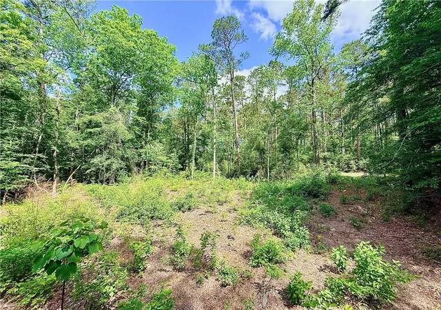Photo 1 of Land for sale at 87474 Vineyard Rd, Franklinton, LA 70438 | MLS# 2553072 | Listing updated on 2026-09-18