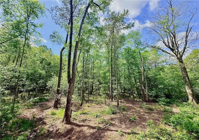 Photo 2 of Land for sale at 87474 Vineyard Rd, Franklinton, LA 70438 | MLS# 2553072 | Listing updated on 2026-09-18