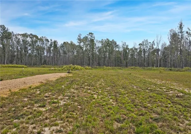 Photo 3 of Land for sale at 51034 George Rd, Independence, LA 70443 | MLS# 2554098 | Listing updated on 2026-09-14